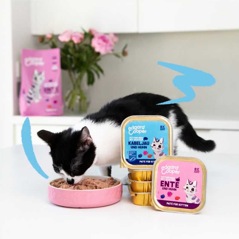 Lifestyle - Cat Kitten Wetfood DE