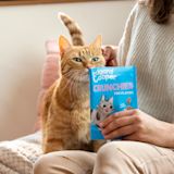 Lifestyle - Cat All Crunchies Salmon EN