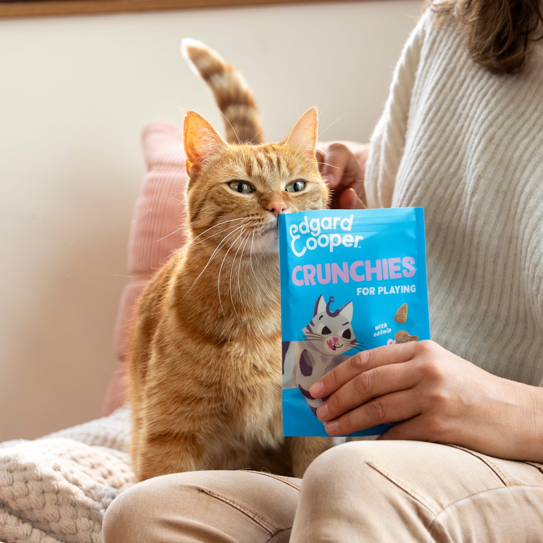 Lifestyle - Cat All Crunchies Salmon EN