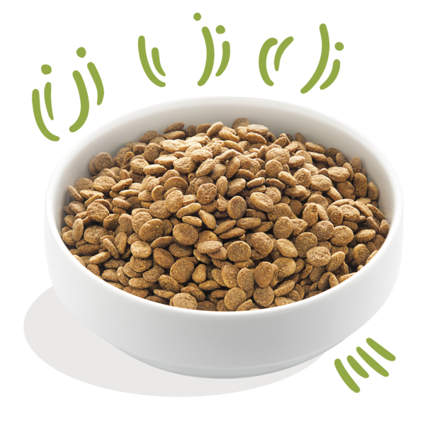 Picture of Fresh Grass-Fed Lamb Grain-Free Dog Kibble | Edgard & Cooper | Edgard ...