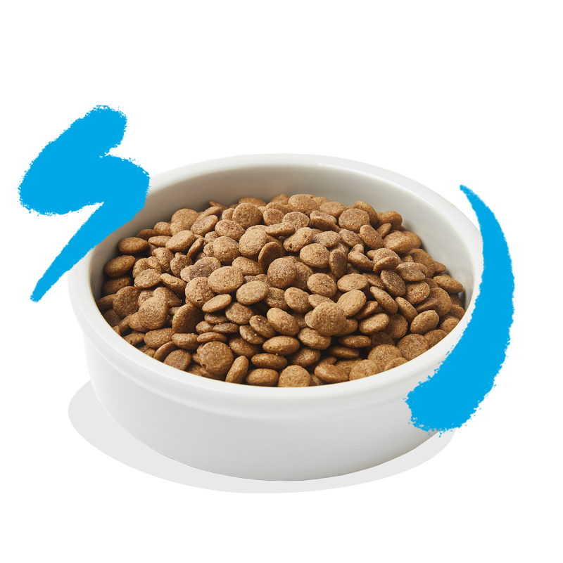 Blue kibble clearance