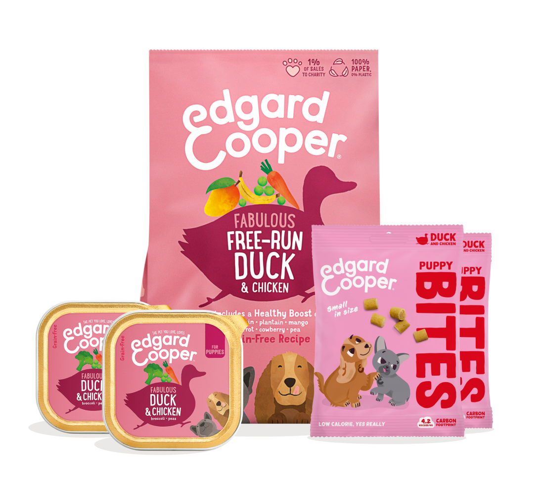 Dog Puppy Starter Bundle - Grain free - EN