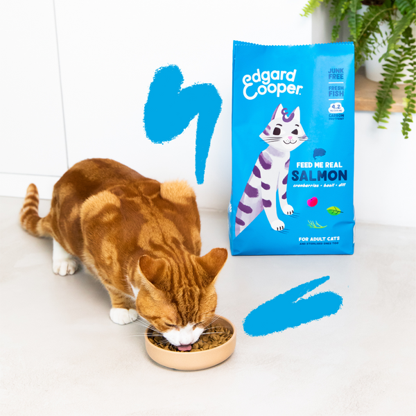 Edgard & Cooper Comida Húmeda Gatos Esterilizados o Activos Gato Adulto  Paté Natural Sin Cereales 85g x 16 Pollo, Fácil de digerir, Alimentación  Sana Sabrosa y Equilibada : : Productos para mascotas