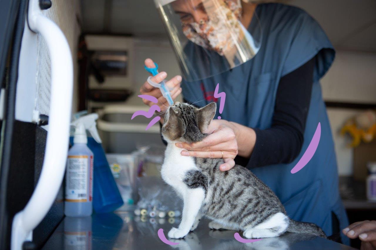 De mooiste bezienswaardigheden rond Pischelsdorf am Kulm - Top 20 | Komoot, image size:1280x853