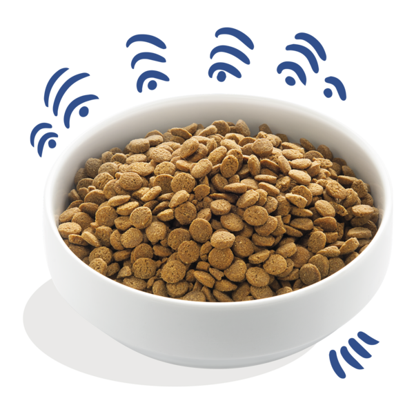 Picture of Salmon Grain-Free Dog Kibble | Edgard & Cooper