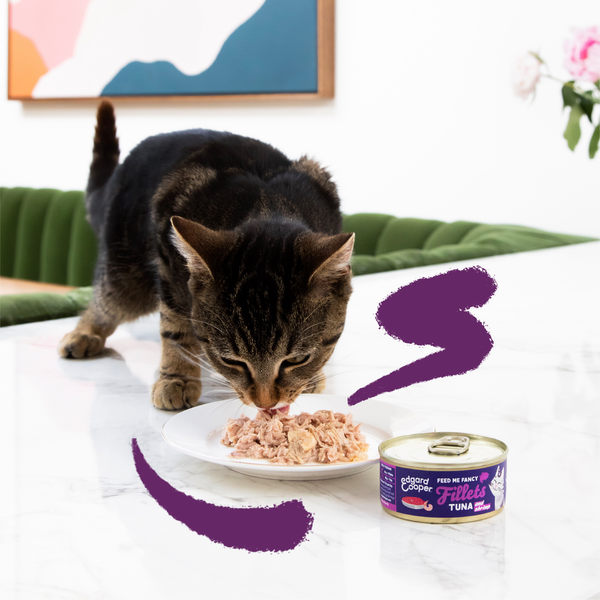 Lifestyle - Cat Fillets Tuna Shrimp EN