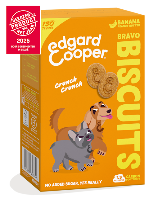 Pack - Dog All Biscuits Banana Peanut EN