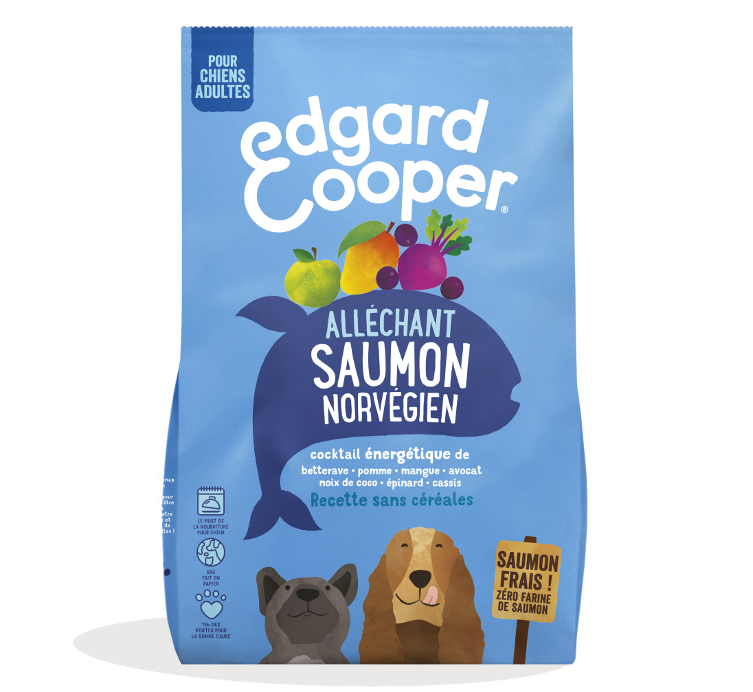 Dog Adult Kibble Salmon FR