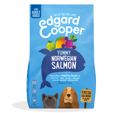 Pack - Dog - Dry - Fresh Norwegian Salmon - EN