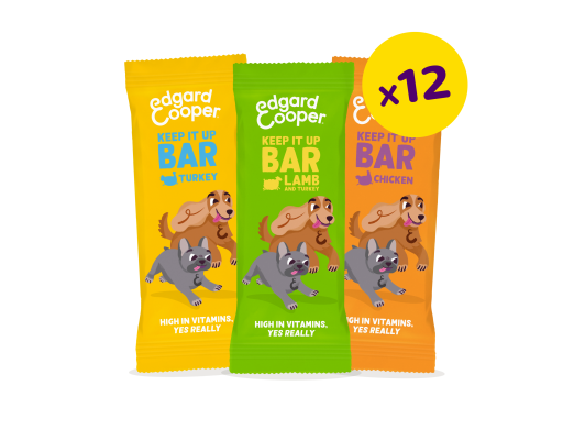 Dog Treats Bundle - Bars - EN