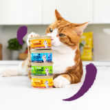 Lifestyle - Cat Adult Chunks DE