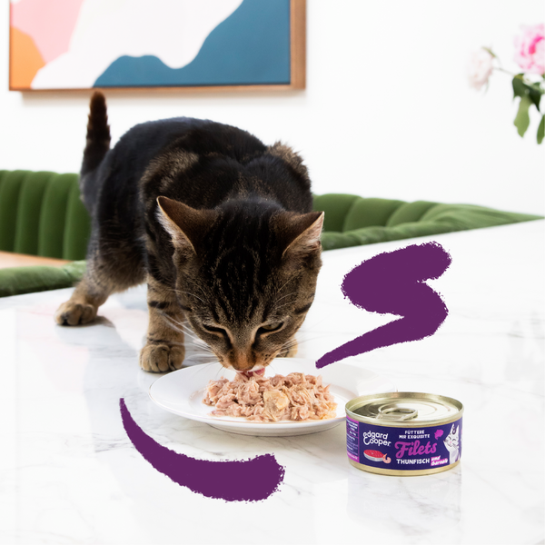 Lifestyle - Cat - All - Fillets - Tuna & Shrimp - DE