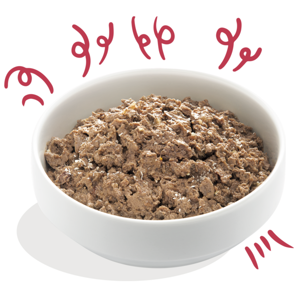 Product - Dog - Cup - Organic Beef