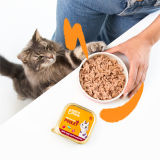 Lifestyle - Cat Adult Pate Chicken FR