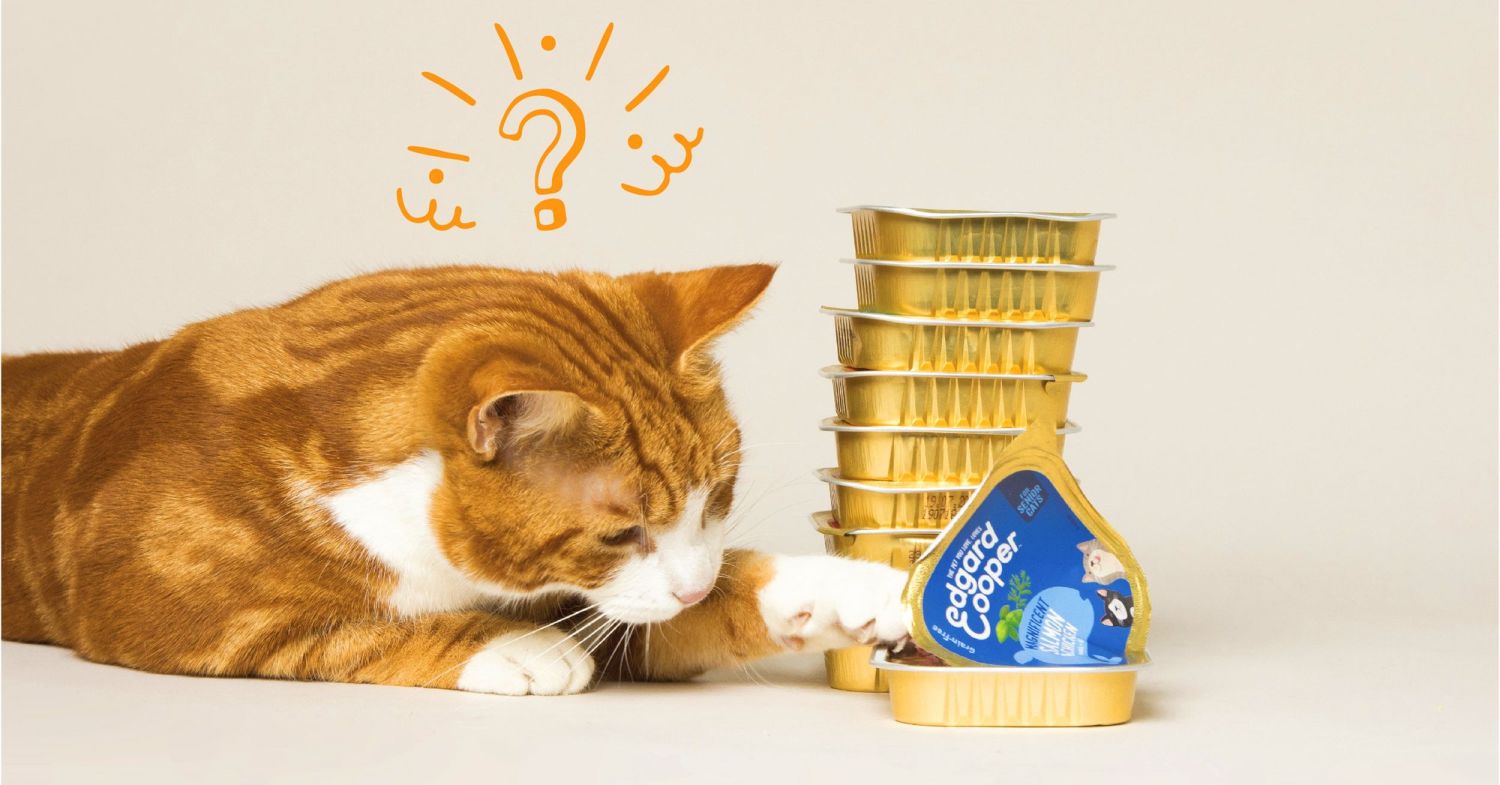 Kieskeurige katten: wat geef ze te eten? | &