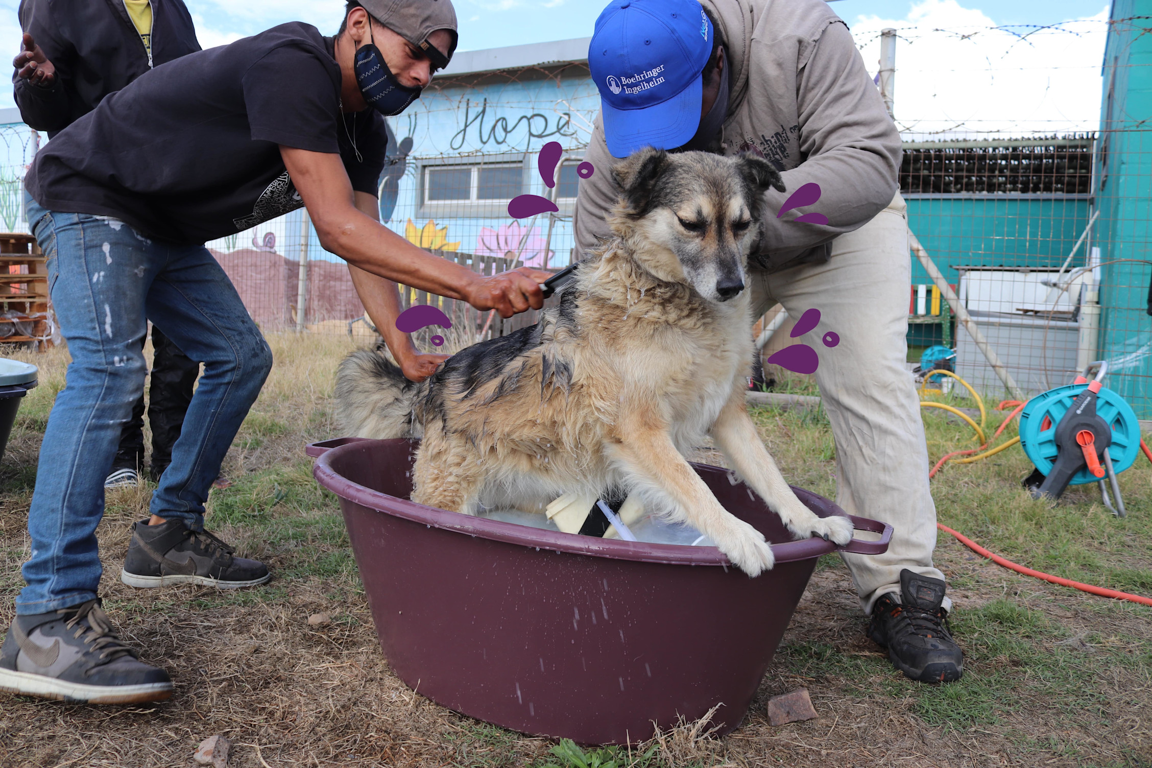 Liefdadigheid | Edgard \u0026 Cooper, image size:2256x1504