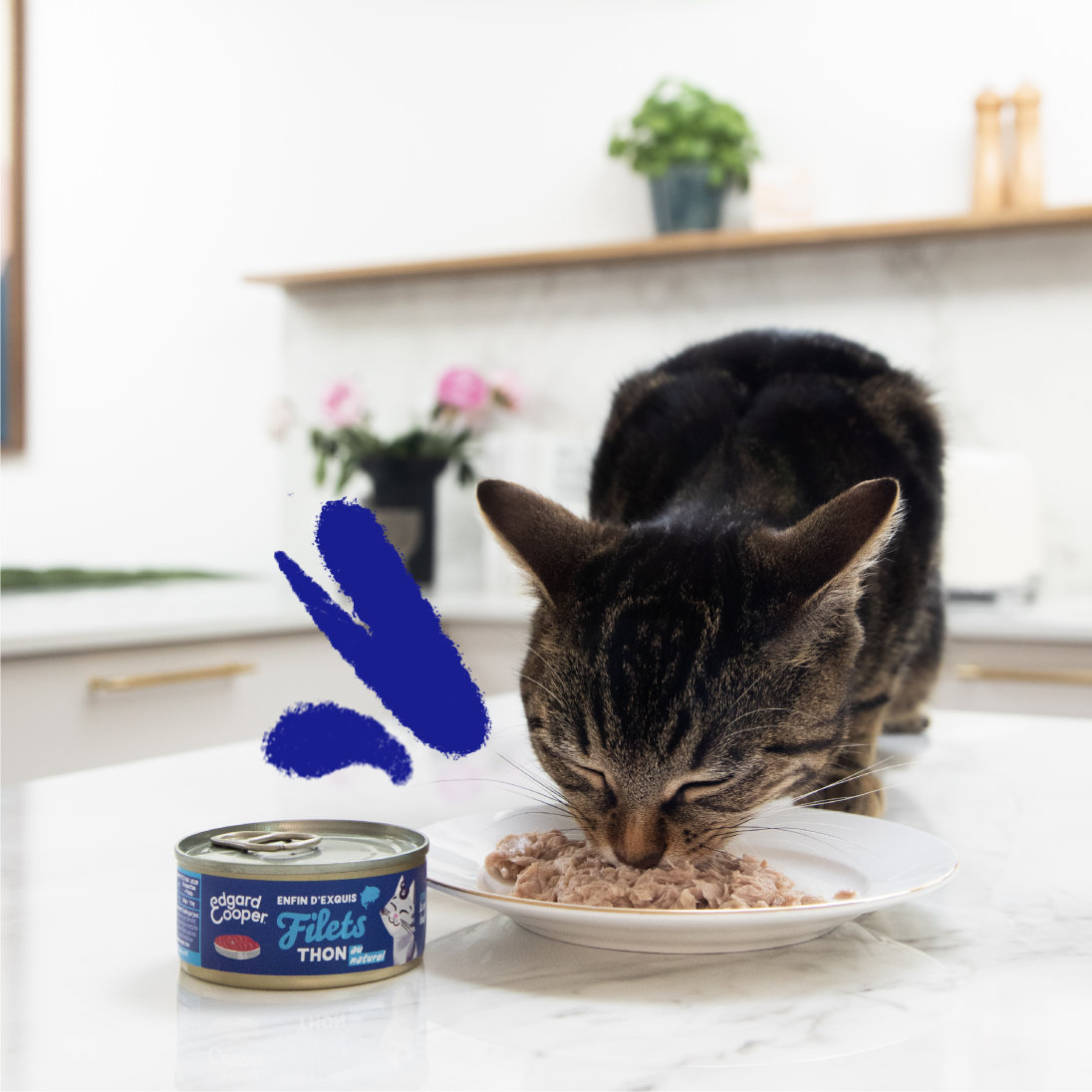 Lifestyle - Cat Fillets Tuna FR