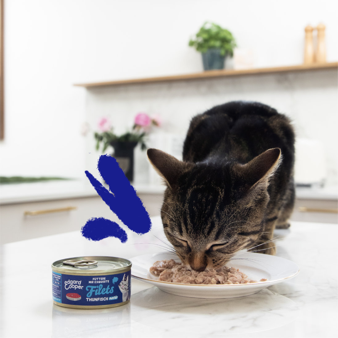 Lifestyle - Cat Fillets Tuna DE