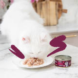 Lifestyle - Cat - All - Fillets - Tuna & Chicken - DE