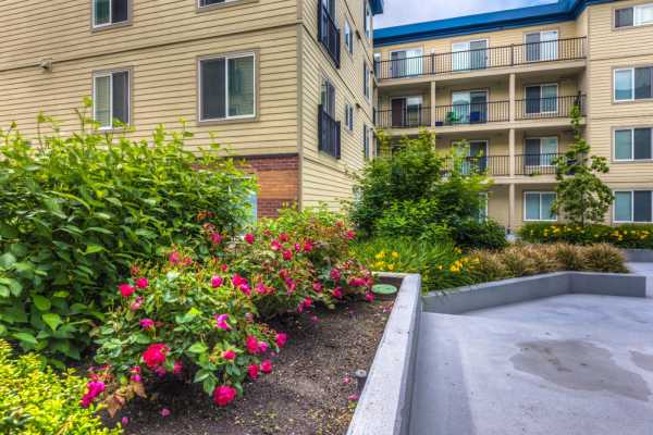 Landscaping at Guinevere Apartments