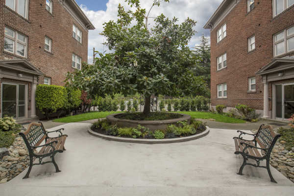 Courtyard of apartment. 