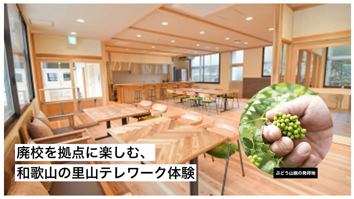 wakayama 02a