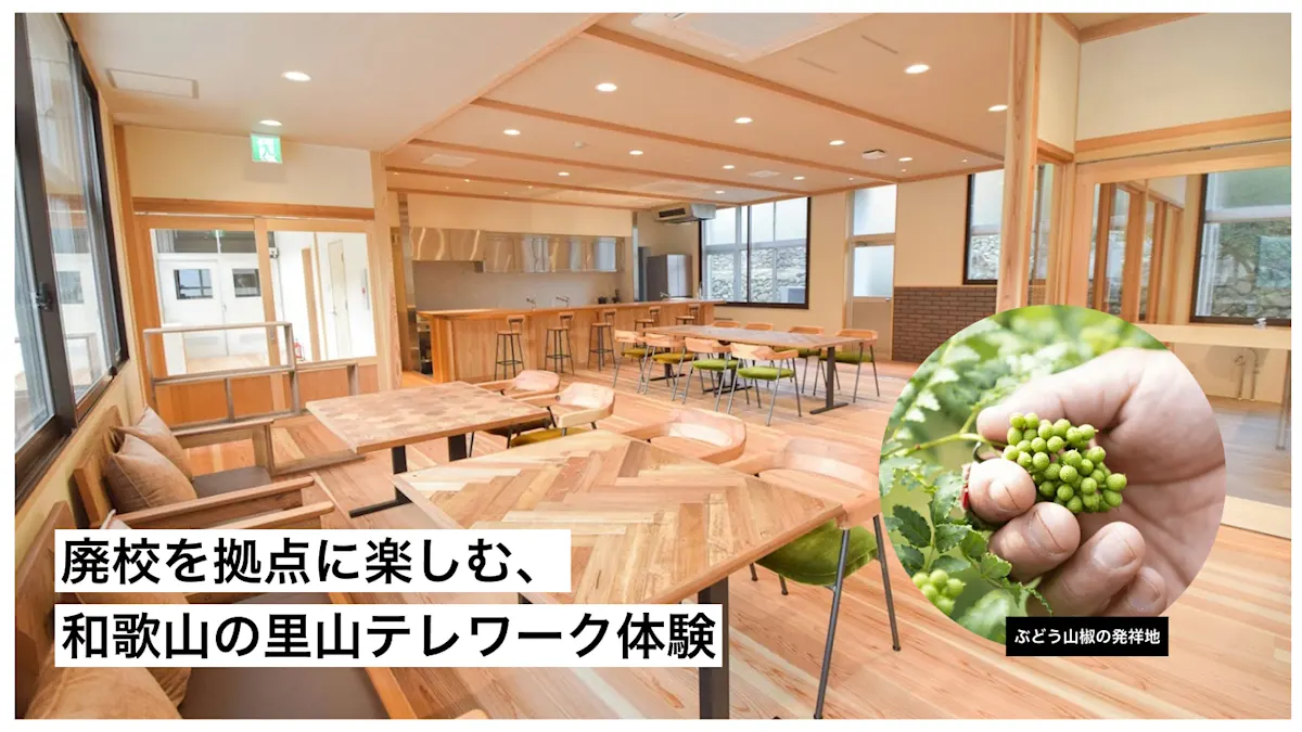 wakayama 02a
