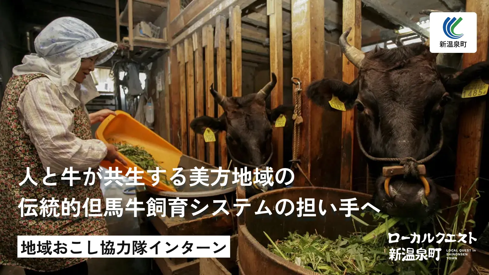 人と牛が共生する美方地域の伝統的但馬牛飼育システムの担い手へ