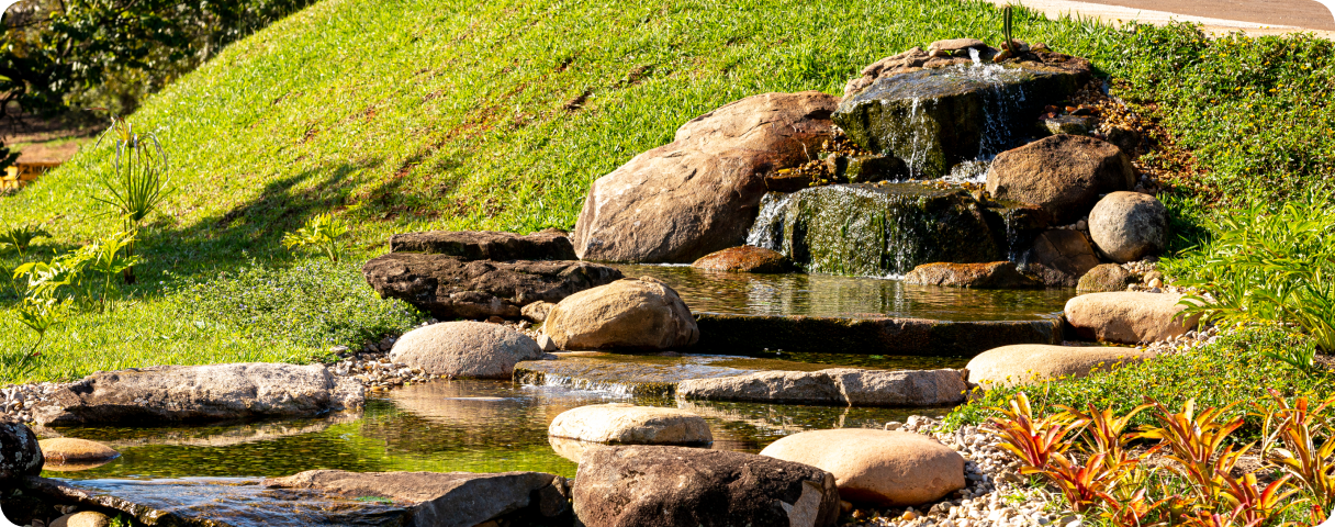 Sustentabilidade - Lago Ornamental