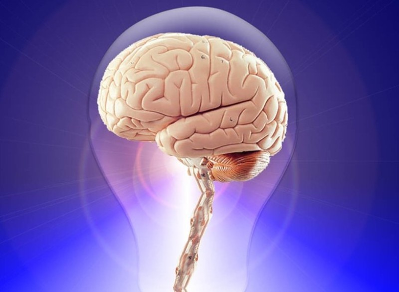 Photo artwork of human brain in a light bulb.