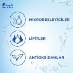 Mikrobesleyiciler lipitler yazılı resim