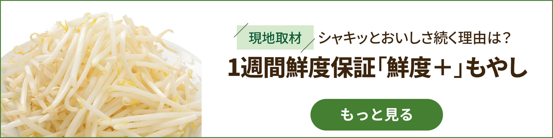 鮮度+］岐阜県産 かみもやし(製造翌日お届け) 200g Green Beans