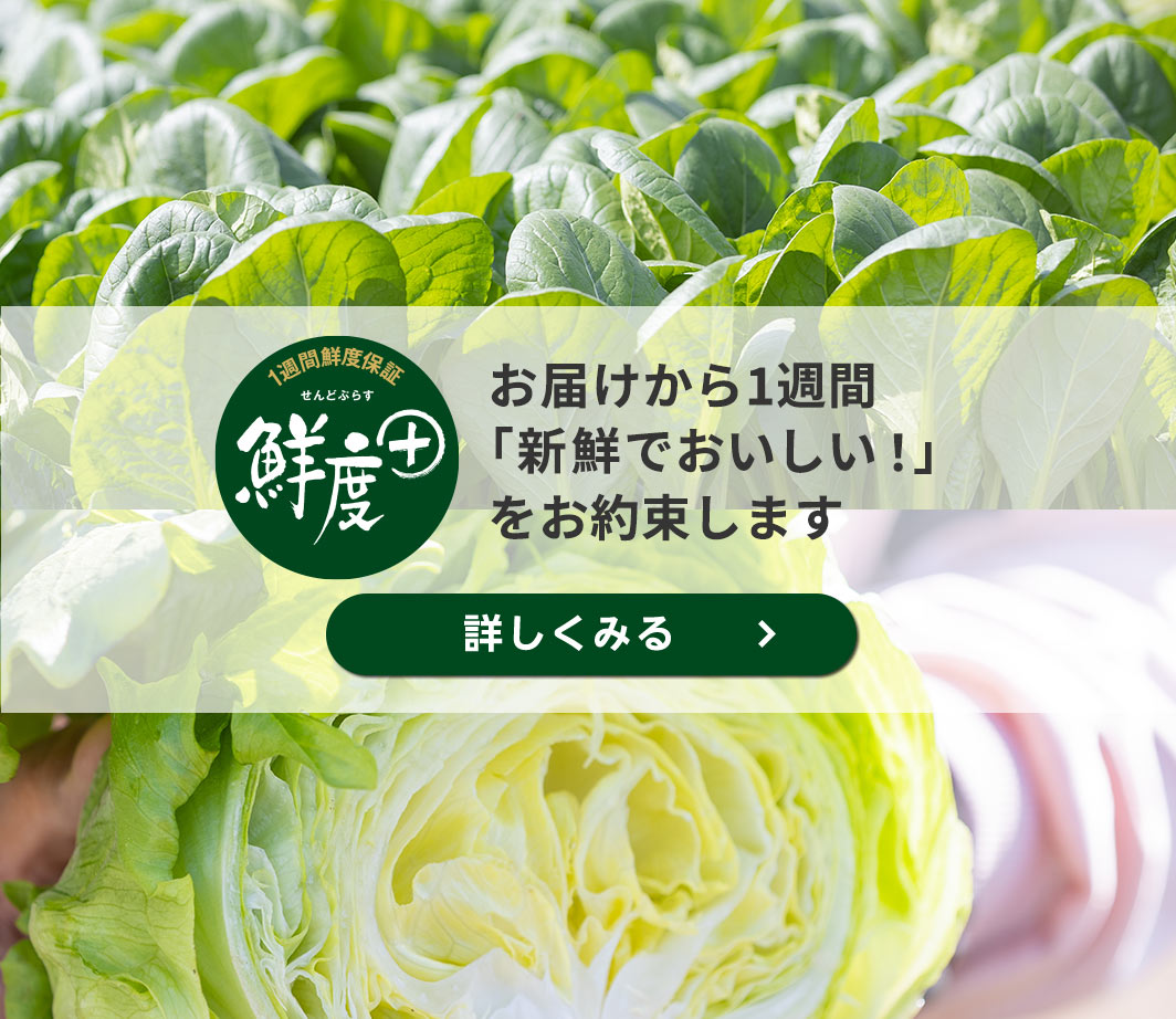 鮮度＋にオーガニック野菜が仲間入り！