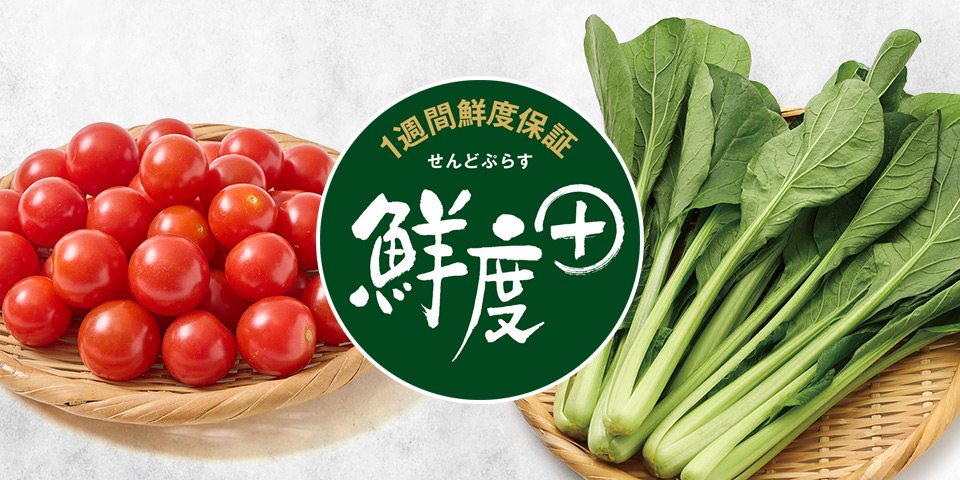 鮮度＋（せんどぷらす）野菜