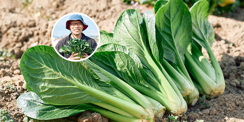 「鮮度＋」にオーガニック野菜が登場