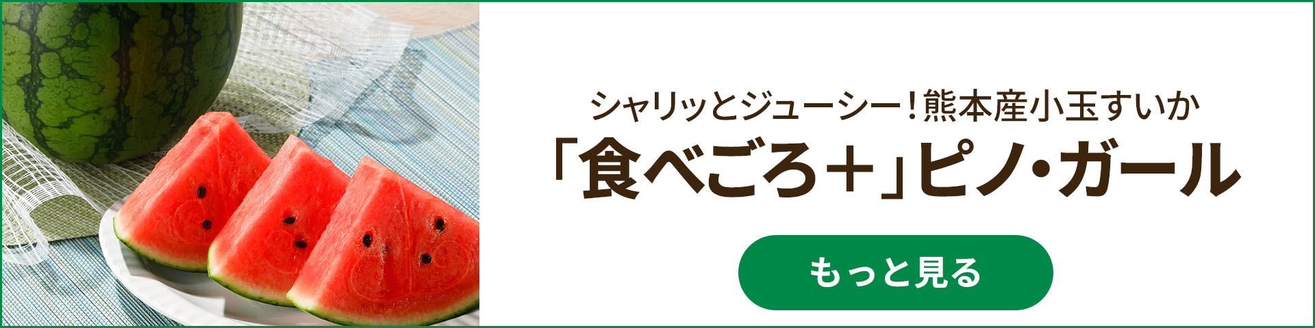 熊本県産 味咲すうぃーと(羅皇ザ・スウィート) 大玉すいか 4.5kg 1玉