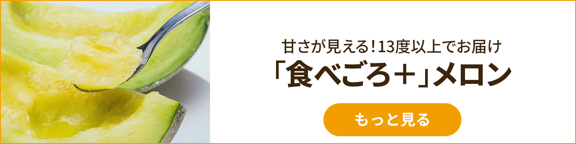 食べごろ+］茨城県産 糖度の見えるメロン(青肉) 900g 1個 Green Beans