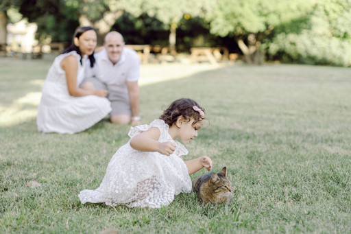 Séance photo famille dans l'Aude