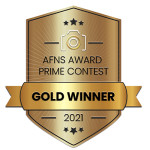 Gold award Prime contest afns