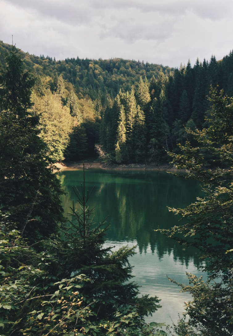 Planet Wild x Hula Earth