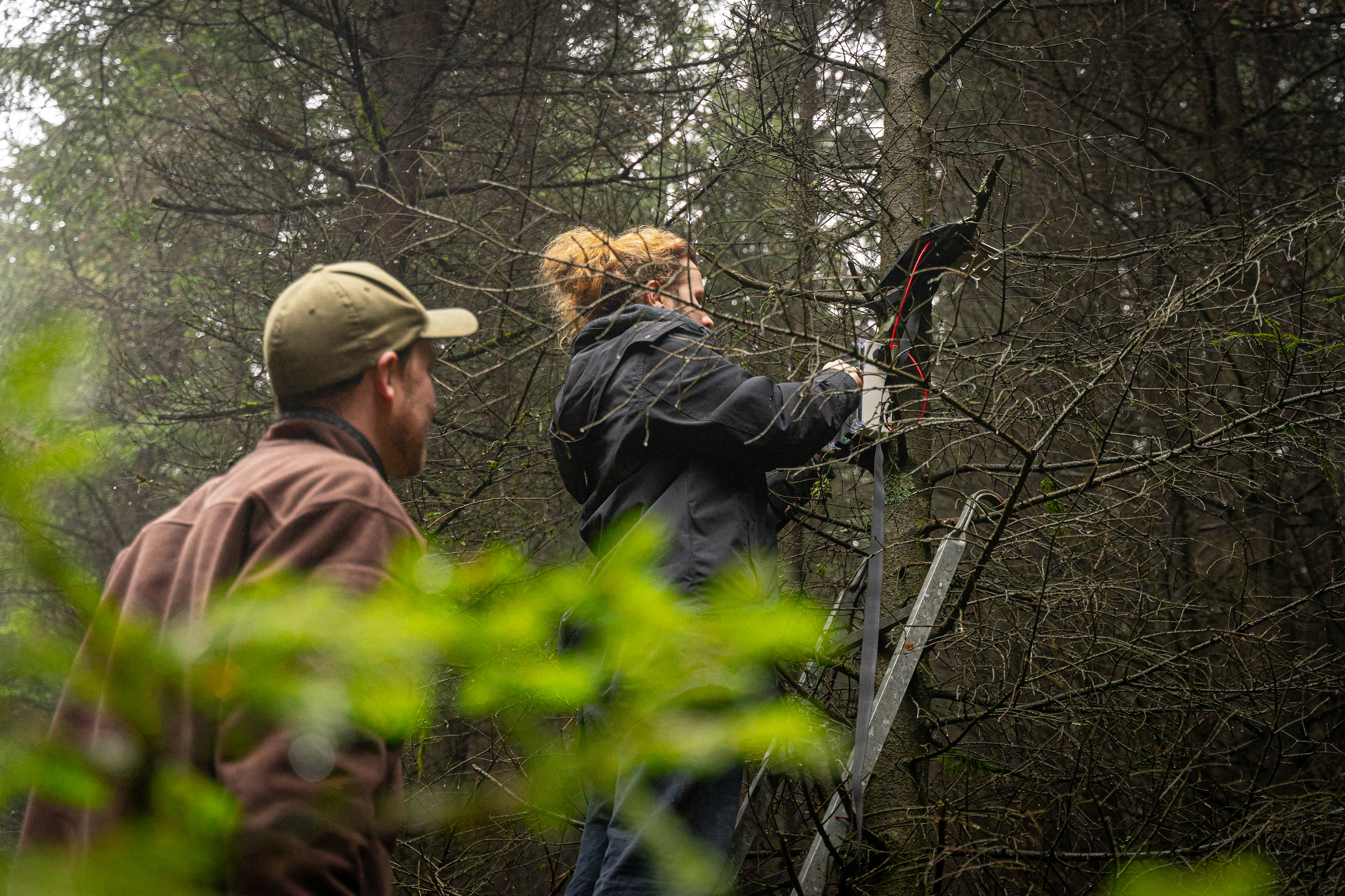 Hula Earth Raises €1.6M to Transform Nature Monitoring for Global Industries