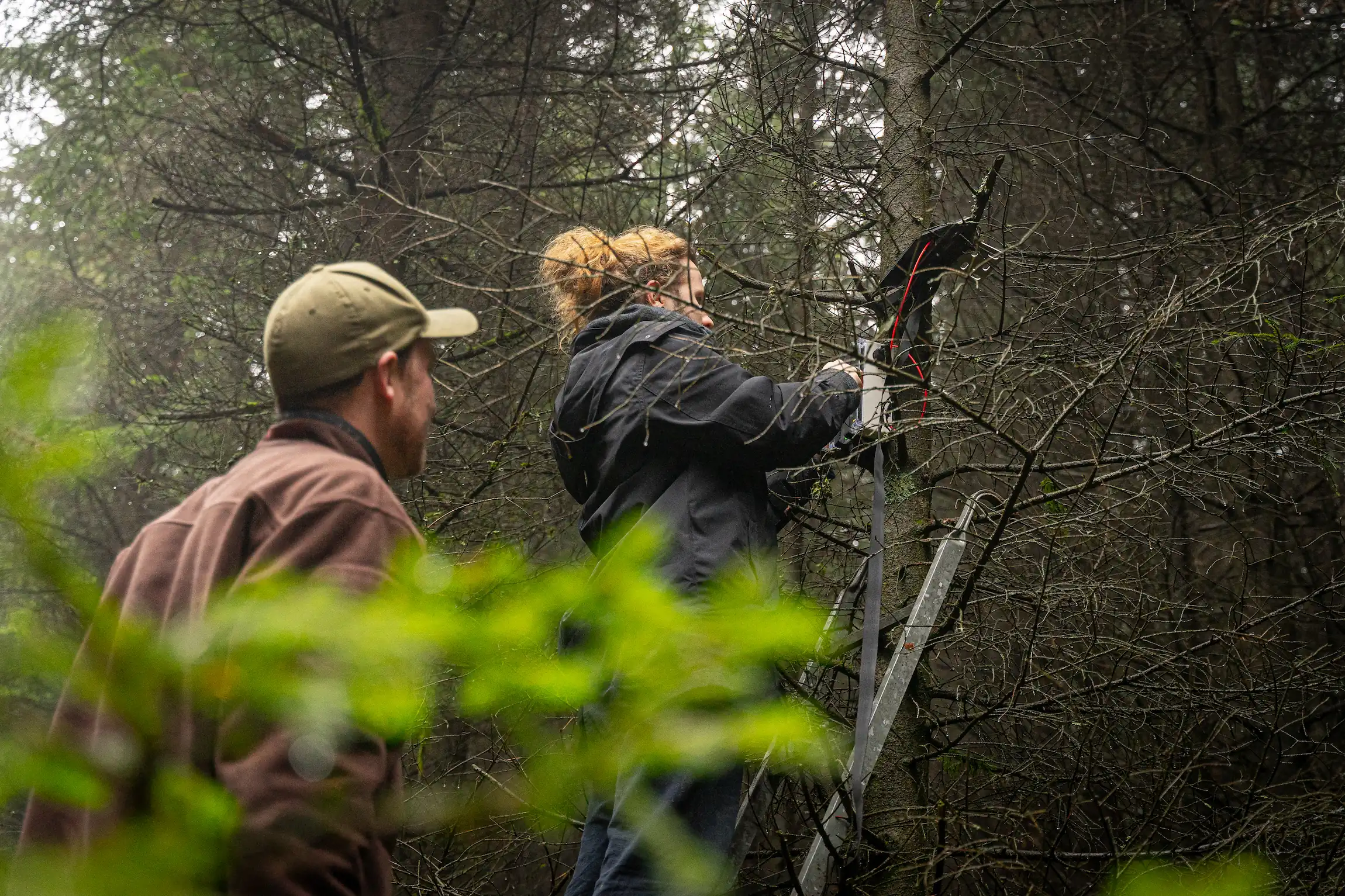 Hula Earth Raises €1.6M to Transform Nature Monitoring for Global Industries