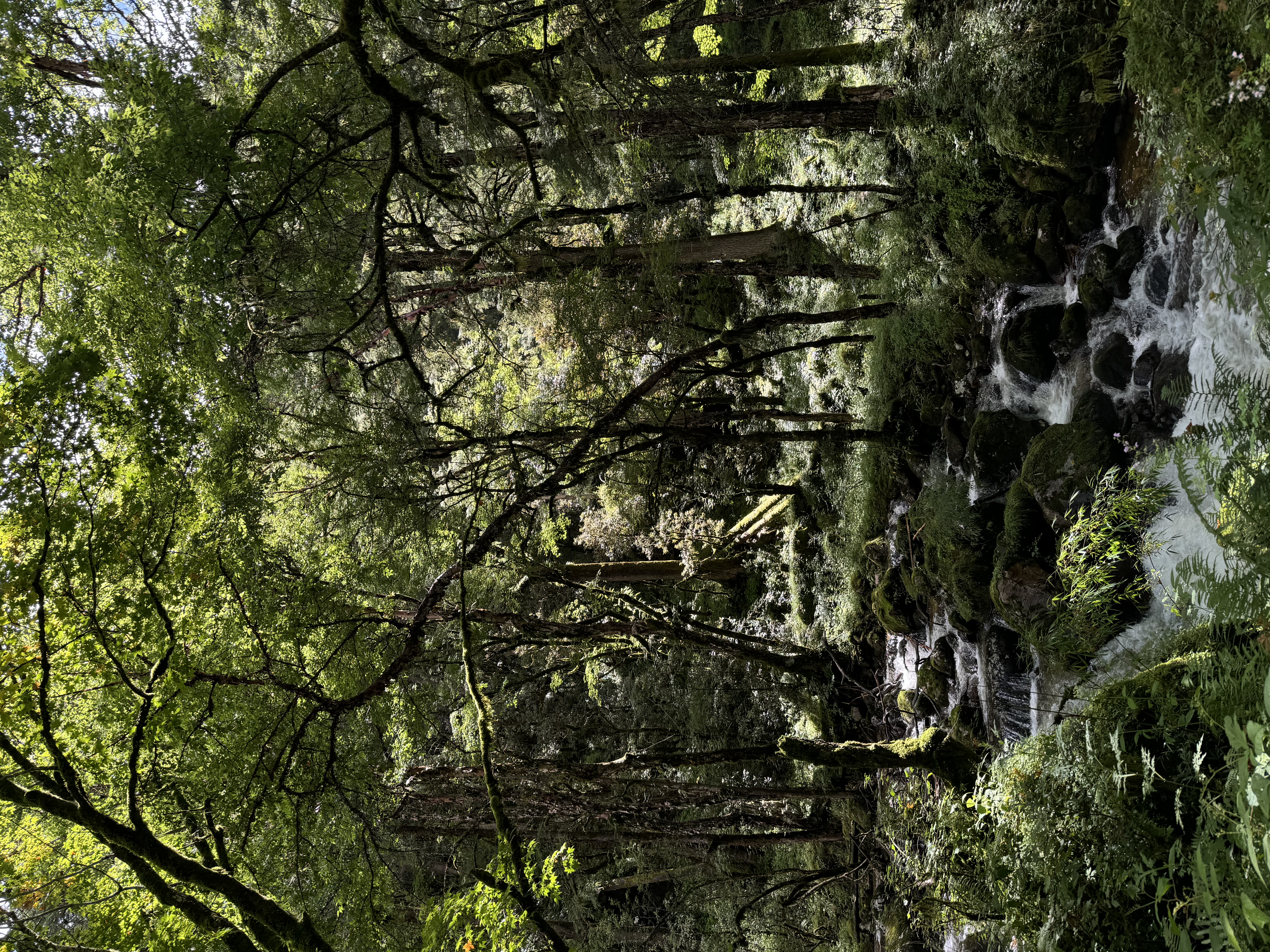 Wilderness International x Hula Earth