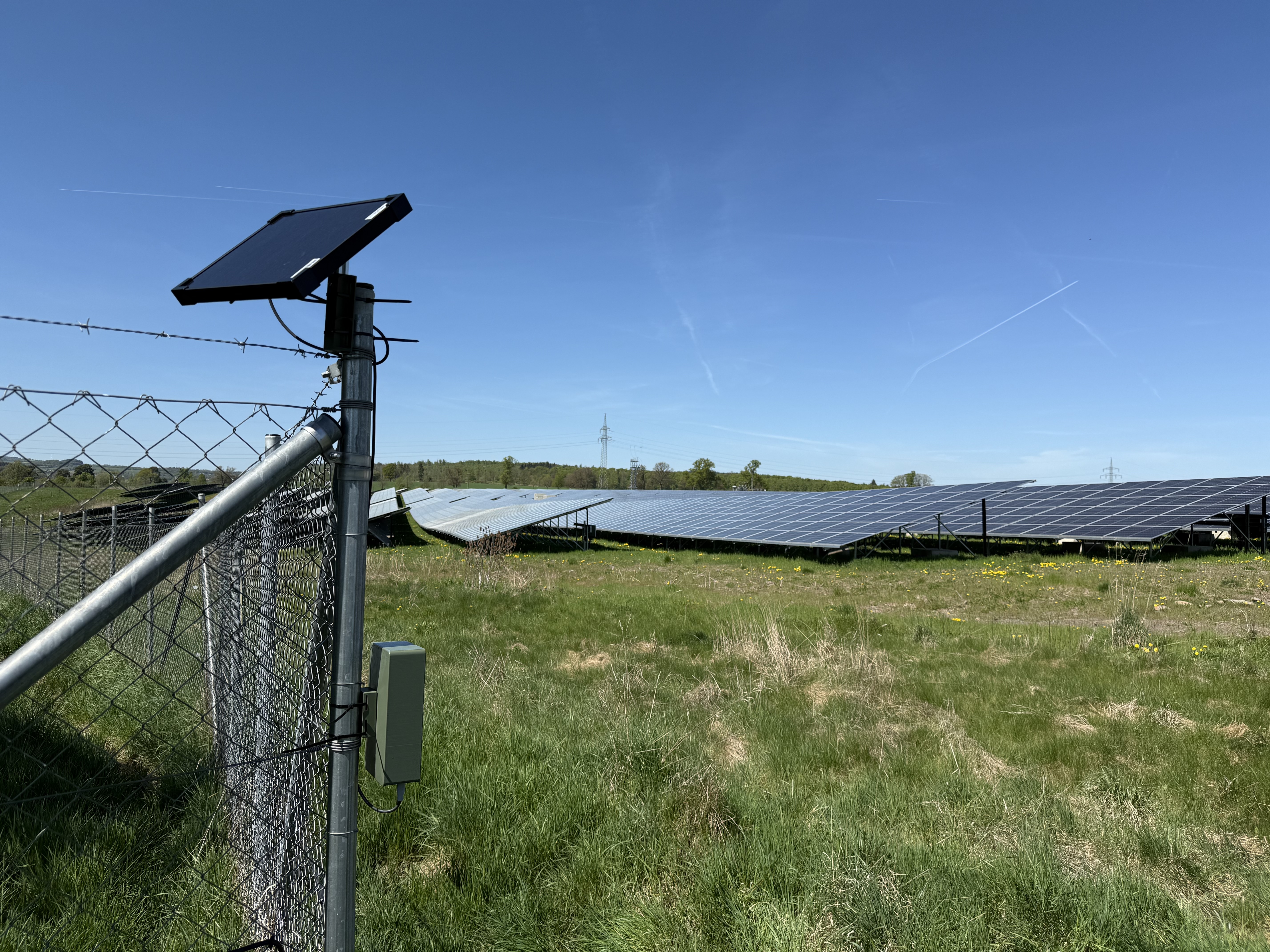 Breeding Bird Mapping in Solar Parks: How Can Innovative, AI-Powered Technology Simplify Wildlife Assessments?