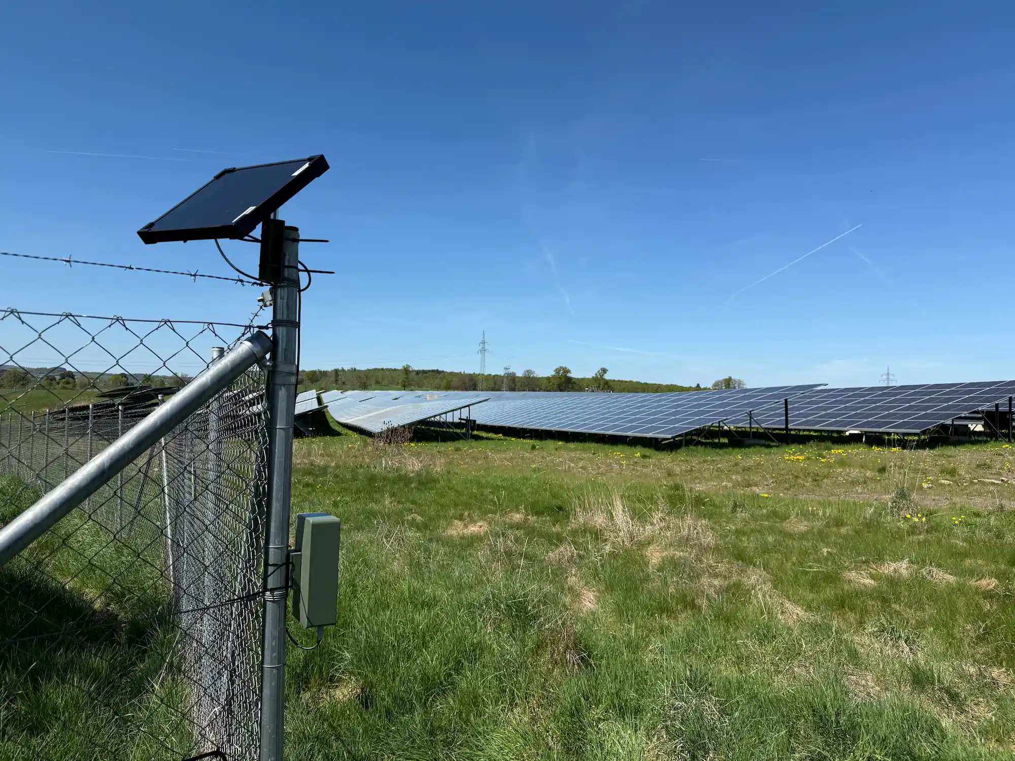 Breeding Bird Mapping in Solar Parks: How Can Innovative, AI-Powered Technology Simplify Wildlife Assessments?