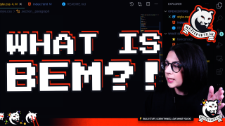 A YouTube thumbnail, showing a screenshot of a live stream with me on the right, and the text WHAT IS BEM in a large font.