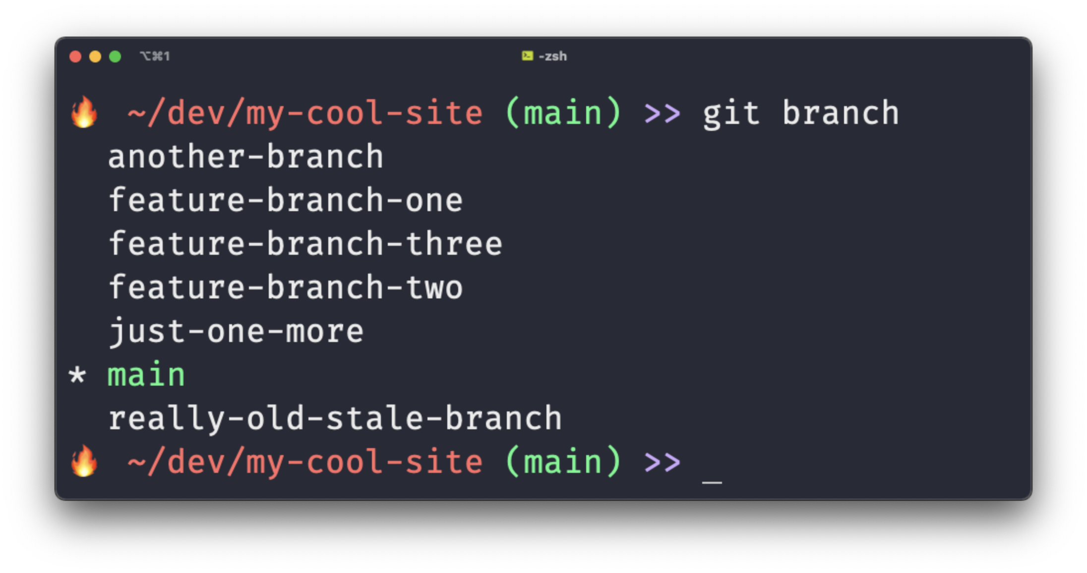 A terminal window running the command git branch, showing a list of seven branches.