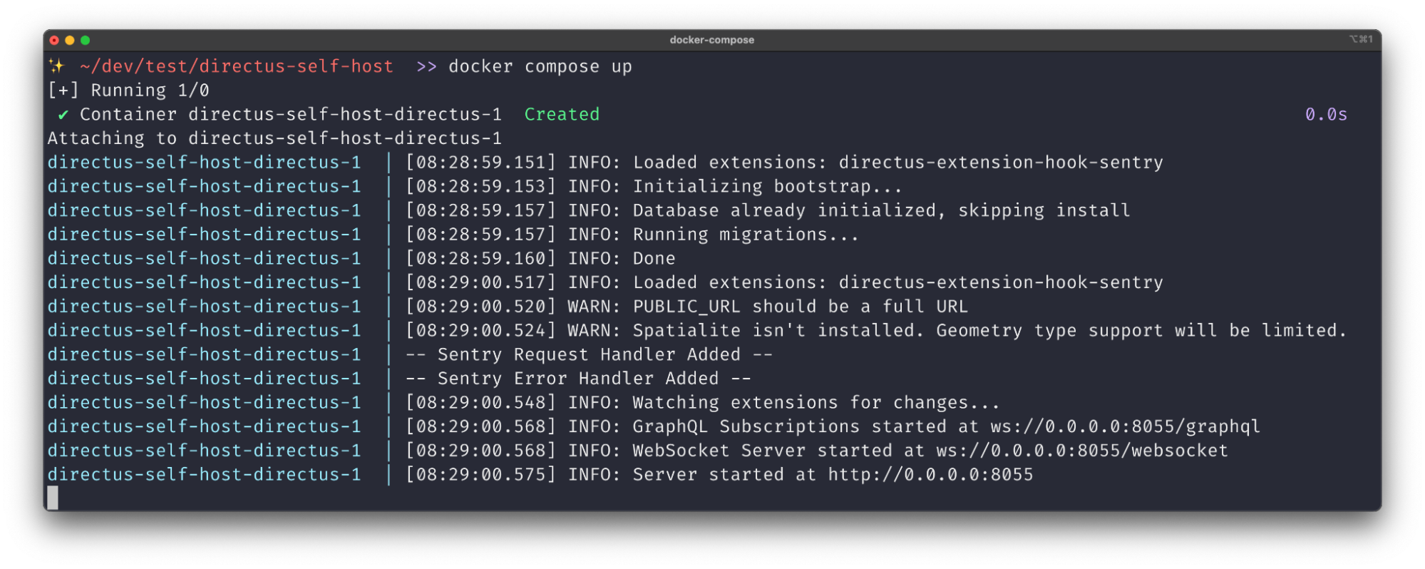 A terminal showing the Sentry Request Handler Added log and the Sentry Error Handler Added log, amidst the Docker logs.