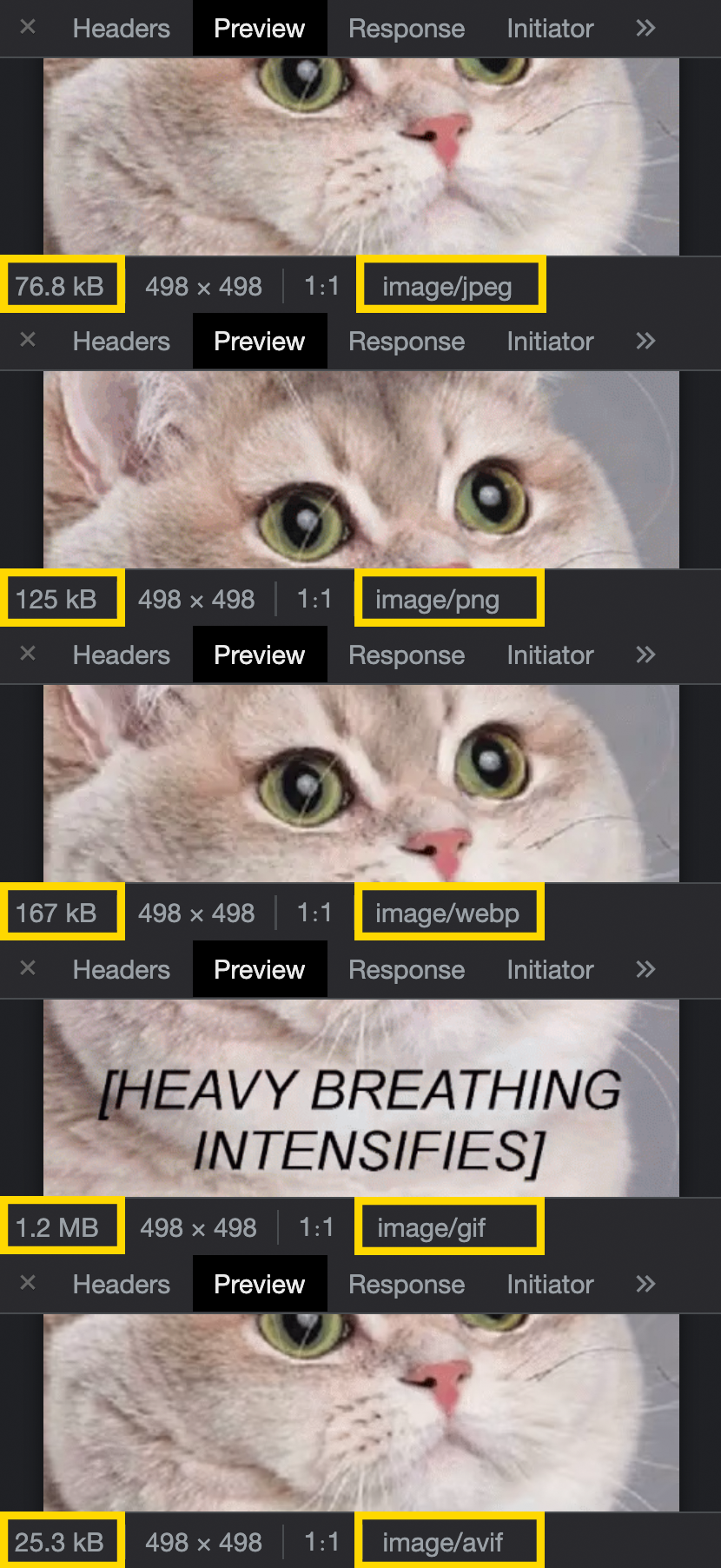 A stacked collage image showing the same heavy breathing cat gif in five image formats, showing that the avif image is the fewest bytes.