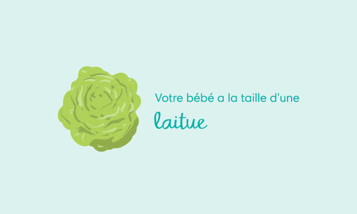 Votre 28e Semaine De Grossesse